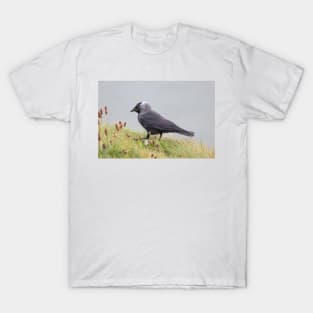 Jackdaw on cliff edge T-Shirt